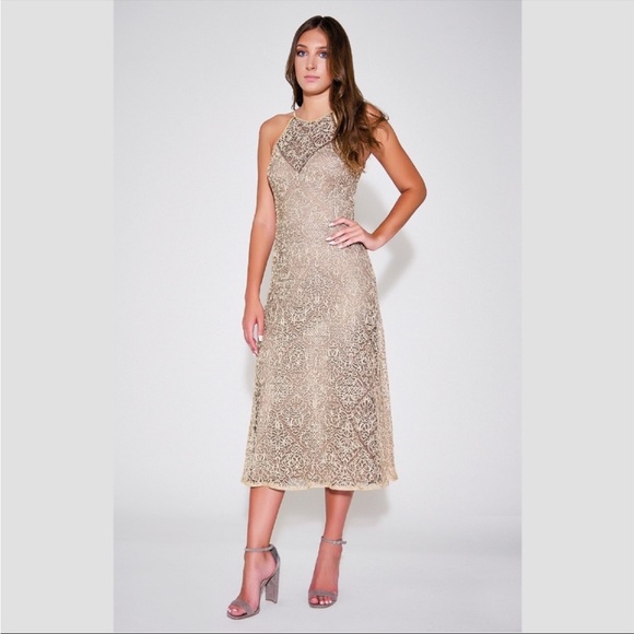Tadashi Shoji Dresses & Skirts - NWT $268 Sho Tadashi Shoji Claudia Halter gold dress size XXS